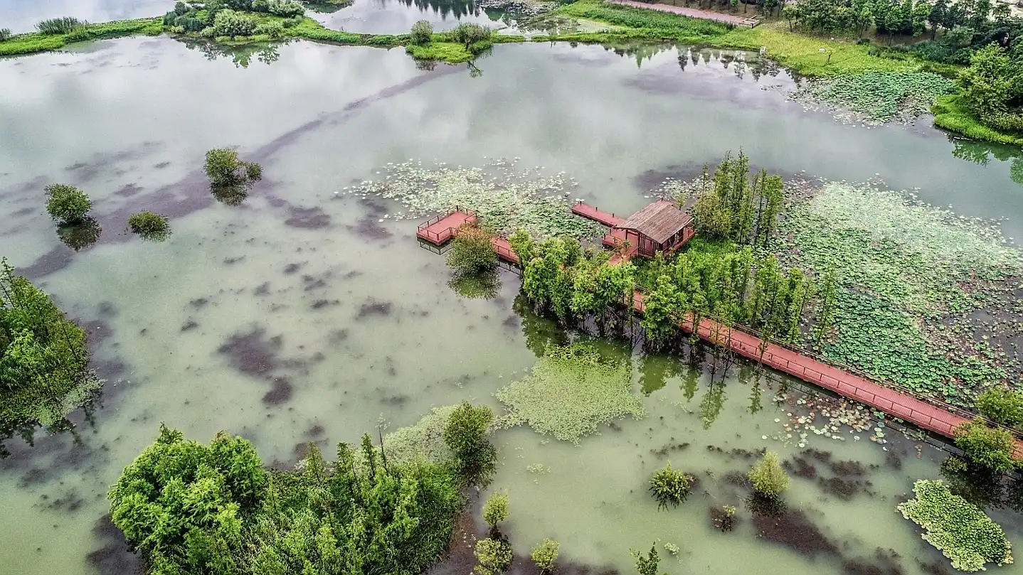 Эвтрофикация: чрезмерное обогащение водоёмов питательными веществами