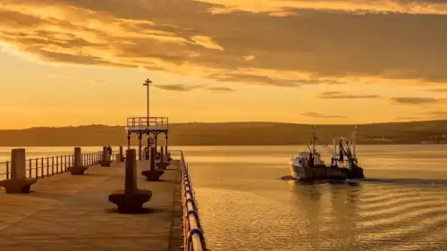 Торговля рыбой распространяет ПФАС